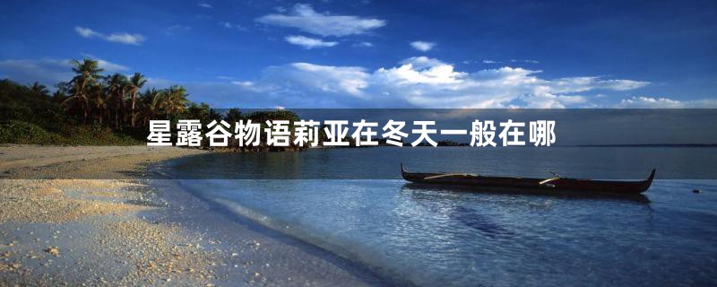 星露谷物语莉亚在冬天一般在哪