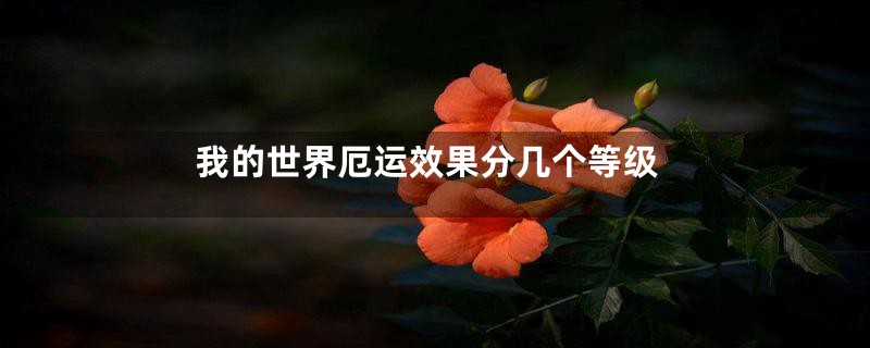 我的世界厄运效果分几个等级
