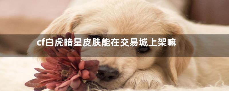 cf白虎暗星皮肤能在交易城上架嘛