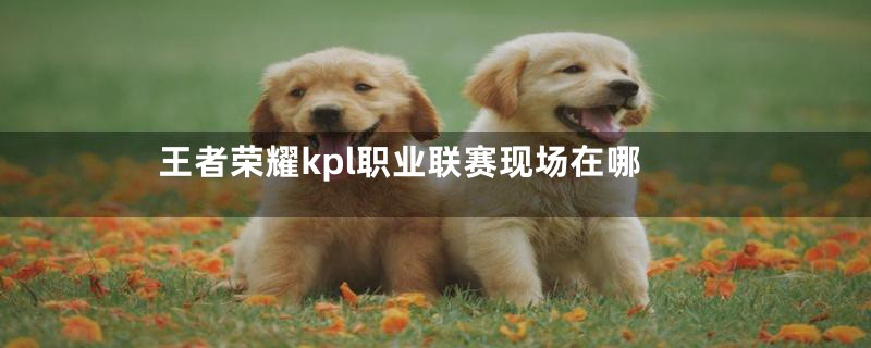 王者荣耀kpl职业联赛现场在哪