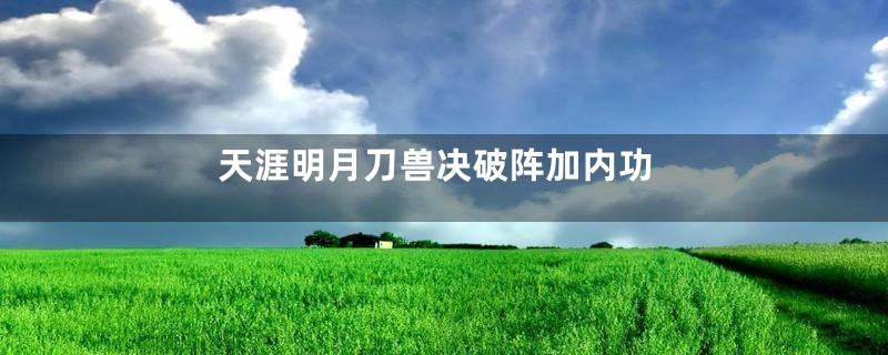 天涯明月刀兽决破阵加内功