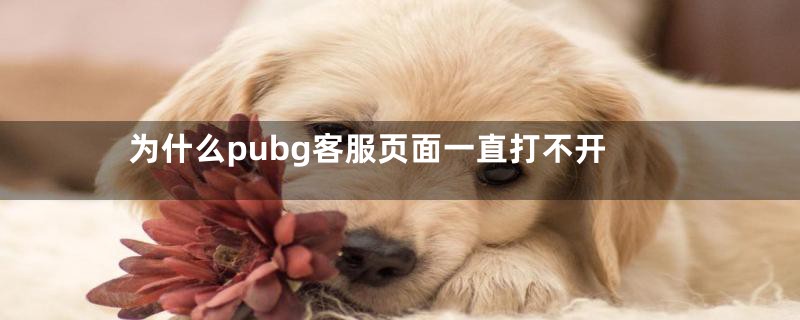 为什么pubg客服页面一直打不开