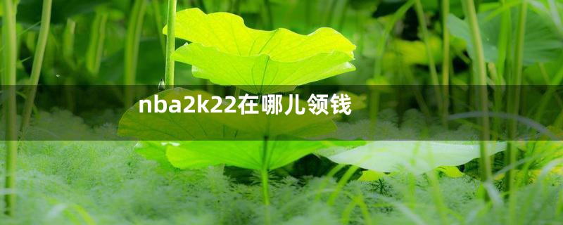 nba2k22在哪儿领钱