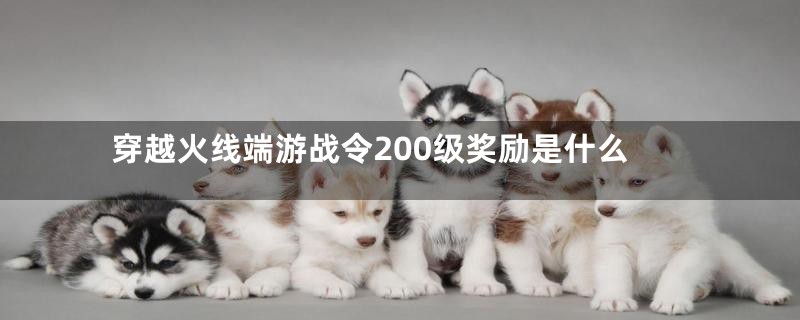 穿越火线端游战令200级奖励是什么