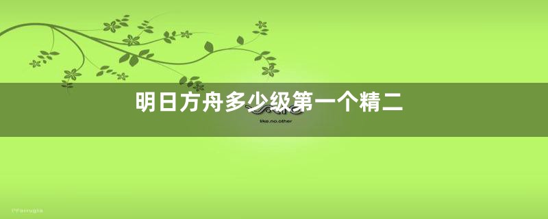 明日方舟多少级第一个精二