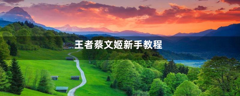 王者蔡文姬新手教程