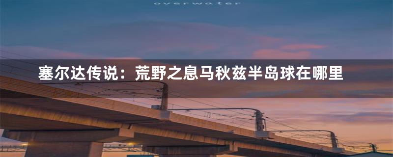 塞尔达传说:荒野之息马秋兹半岛球在哪里