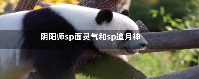 阴阳师sp面灵气和sp追月神