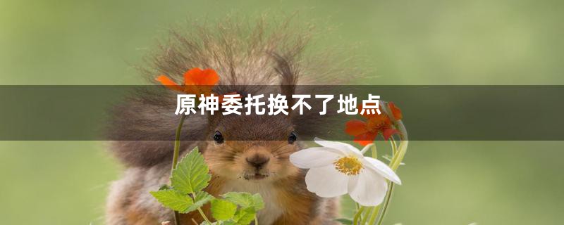 原神委托换不了地点
