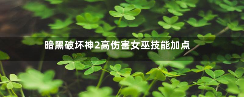 暗黑破坏神2高伤害女巫技能加点