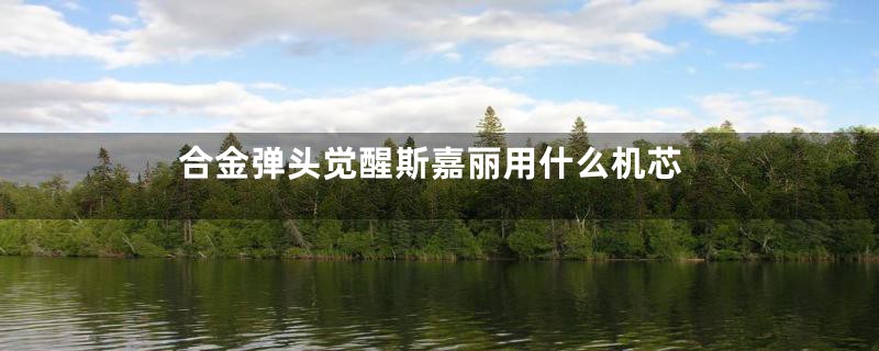 合金弹头觉醒斯嘉丽用什么机芯