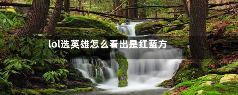 lol选英雄怎么看出是红蓝方