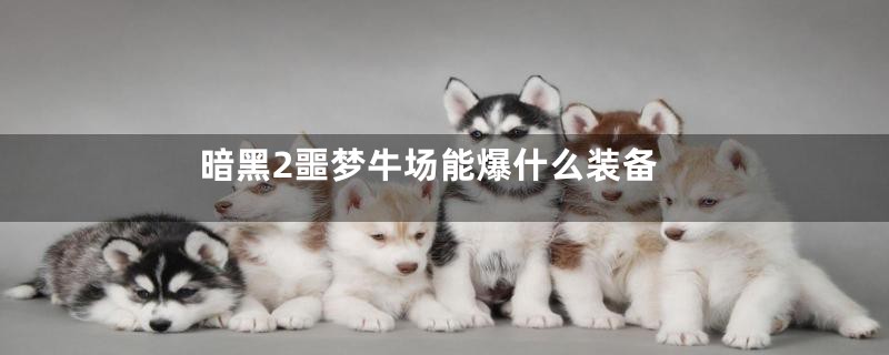 暗黑2噩梦牛场能爆什么装备