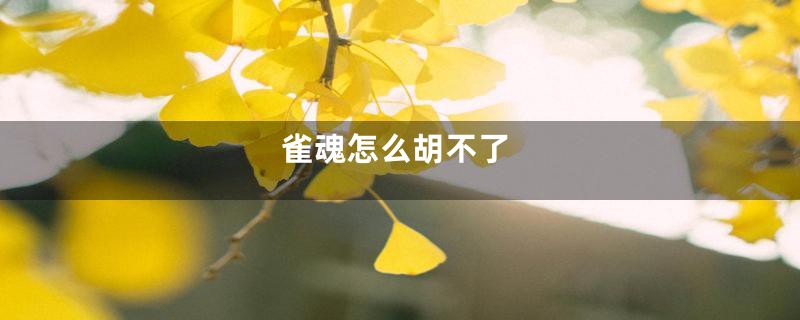雀魂怎么胡不了