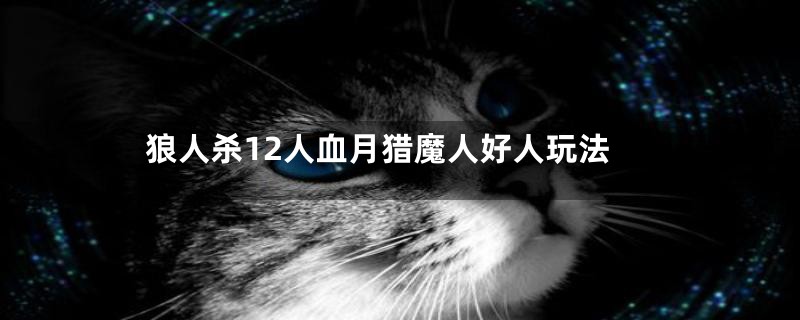狼人杀12人血月猎魔人好人玩法