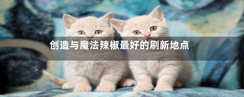 创造与魔法辣椒最好的刷新地点