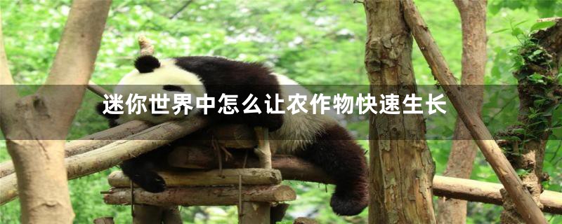迷你世界中怎么让农作物快速生长