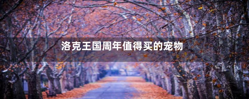 洛克王国周年值得买的宠物