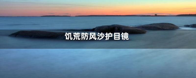 饥荒防风沙护目镜