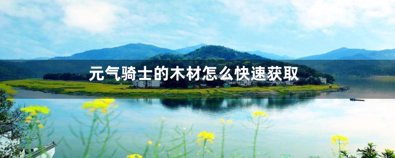 元气骑士的木材怎么快速获取