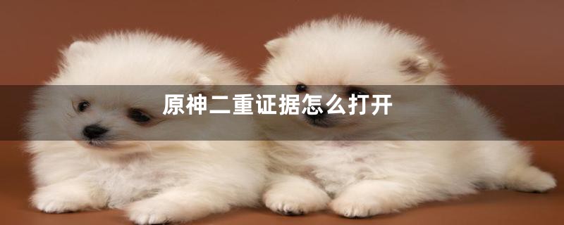 原神二重证据怎么打开