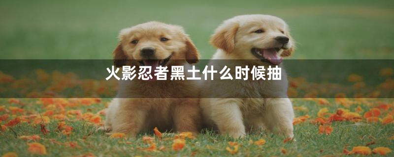 火影忍者黑土什么时候抽