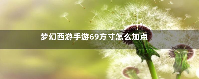 梦幻西游手游69方寸怎么加点