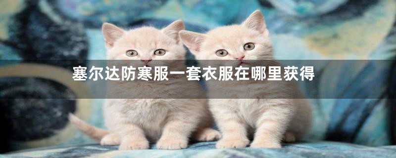 塞尔达防寒服一套衣服在哪里获得