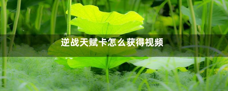 逆战天赋卡怎么获得视频