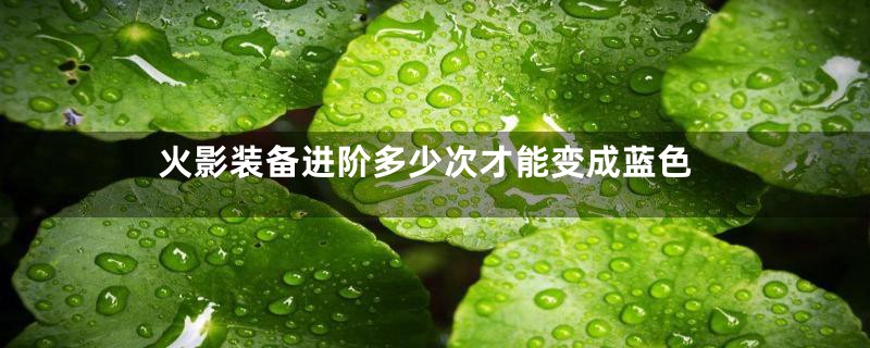 火影装备进阶多少次才能变成蓝色