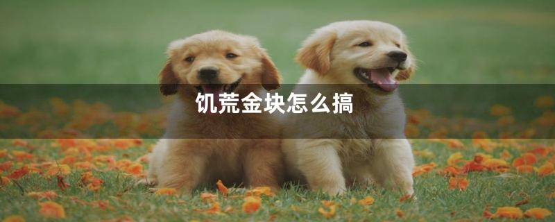 饥荒金块怎么搞