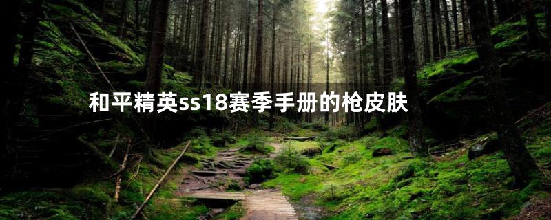 和平精英ss18赛季手册的枪皮肤