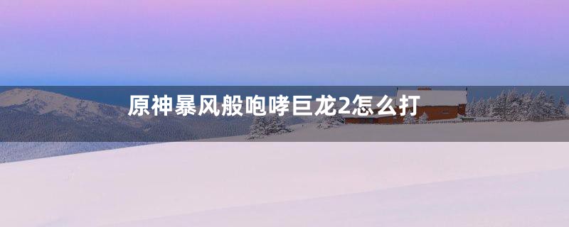 原神暴风般咆哮巨龙2怎么打
