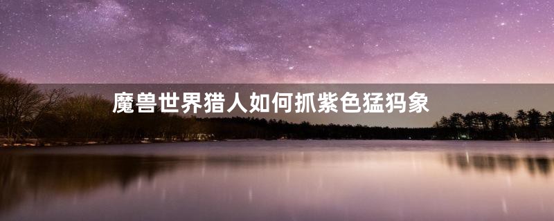 魔兽世界猎人如何抓紫色猛犸象