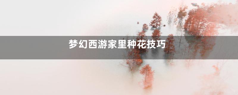 梦幻西游家里种花技巧