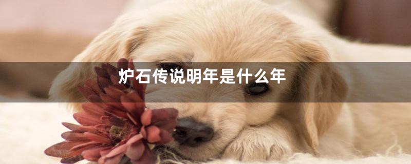 炉石传说明年是什么年