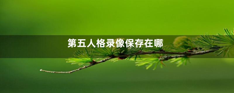第五人格录像保存在哪