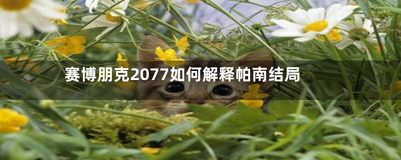 赛博朋克2077如何解释帕南结局