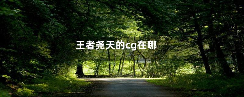 王者尧天的cg在哪