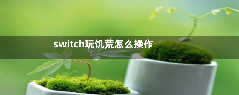 switch玩饥荒怎么操作