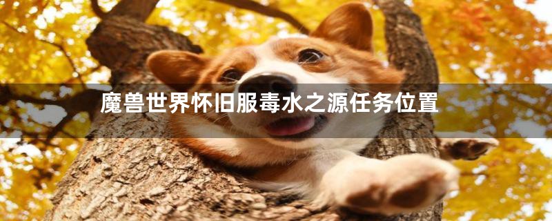 魔兽世界怀旧服毒水之源任务位置