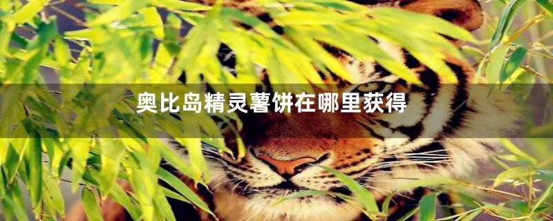 奥比岛精灵薯饼在哪里获得