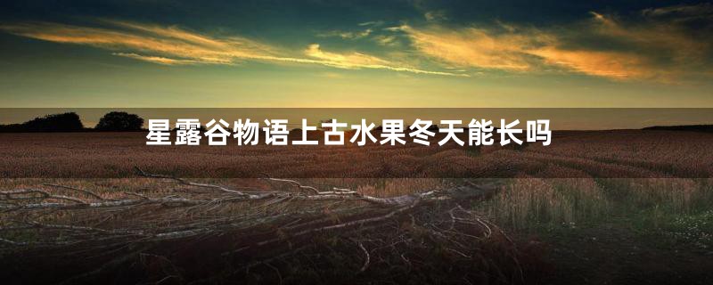 星露谷物语上古水果冬天能长吗