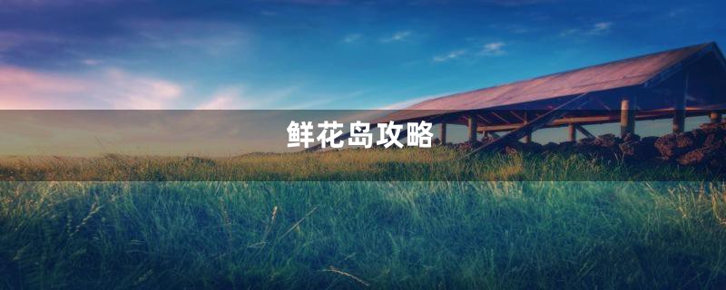 鲜花岛攻略