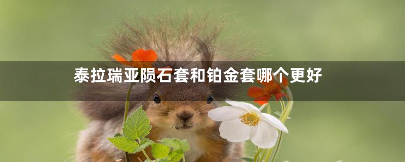 泰拉瑞亚陨石套和铂金套哪个更好