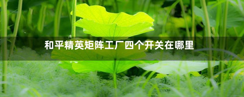 和平精英矩阵工厂四个开关在哪里