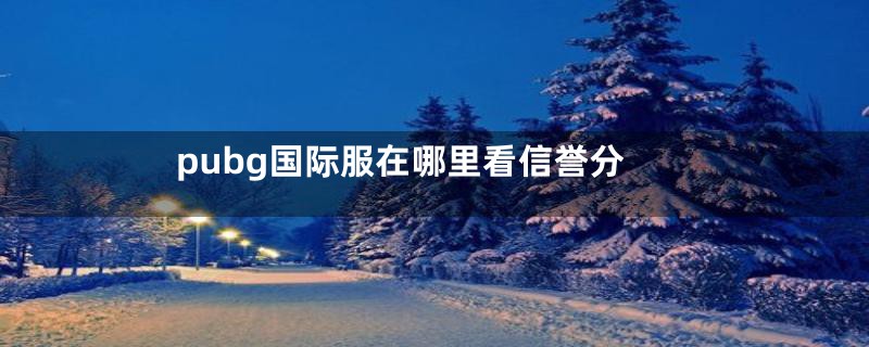 pubg国际服在哪里看信誉分