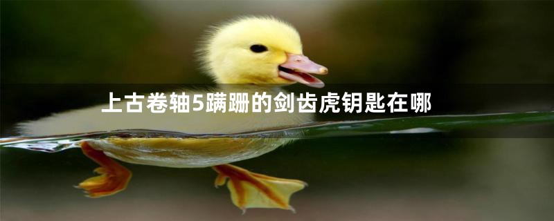 上古卷轴5蹒跚的剑齿虎钥匙在哪