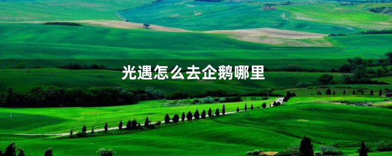 光遇怎么去企鹅哪里