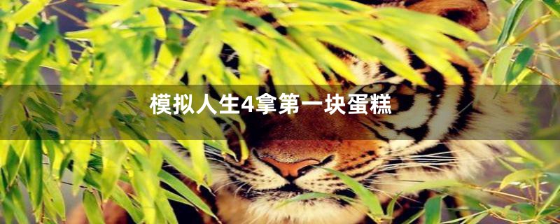 模拟人生4拿第一块蛋糕